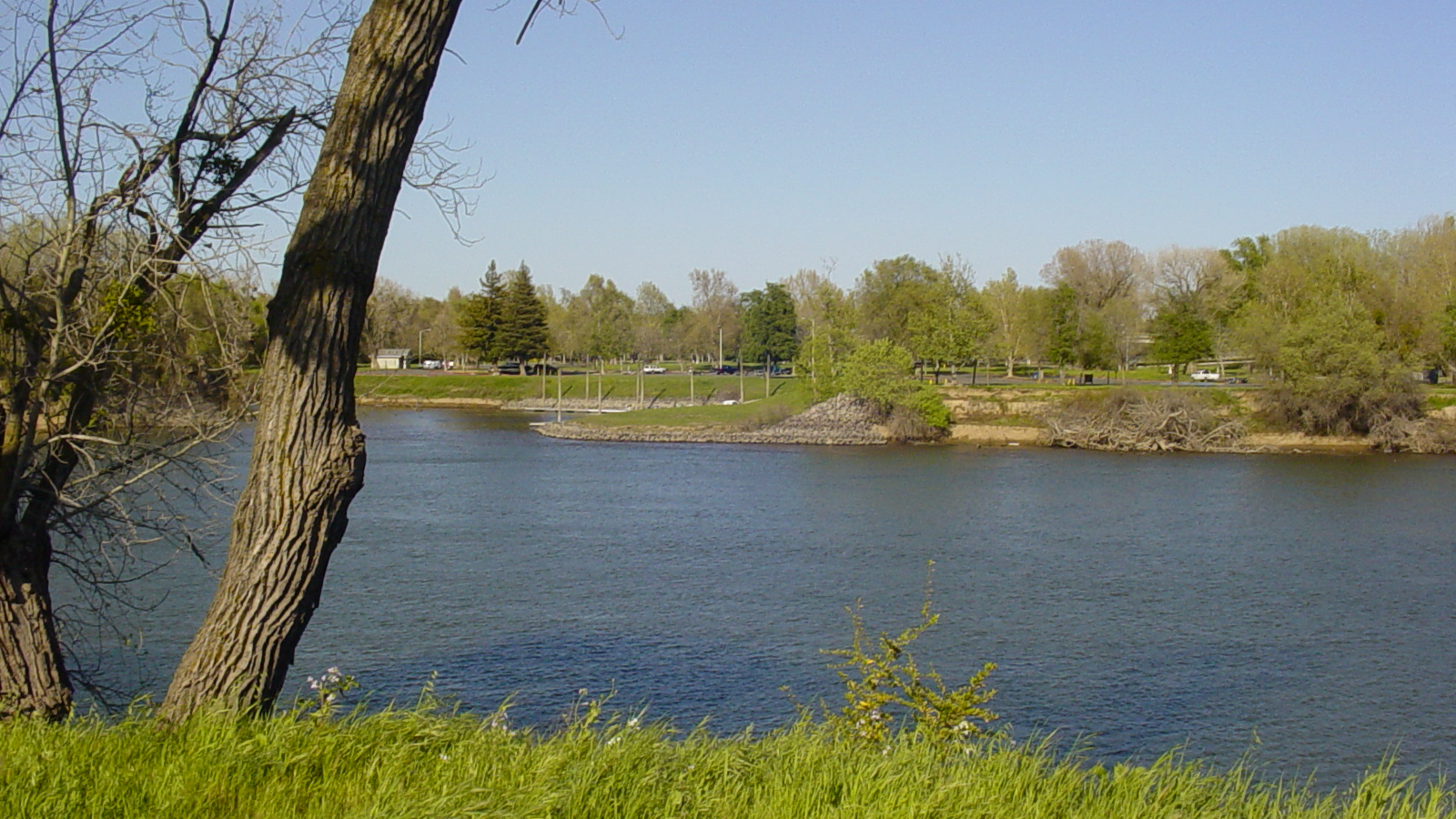 CIHC Area 1