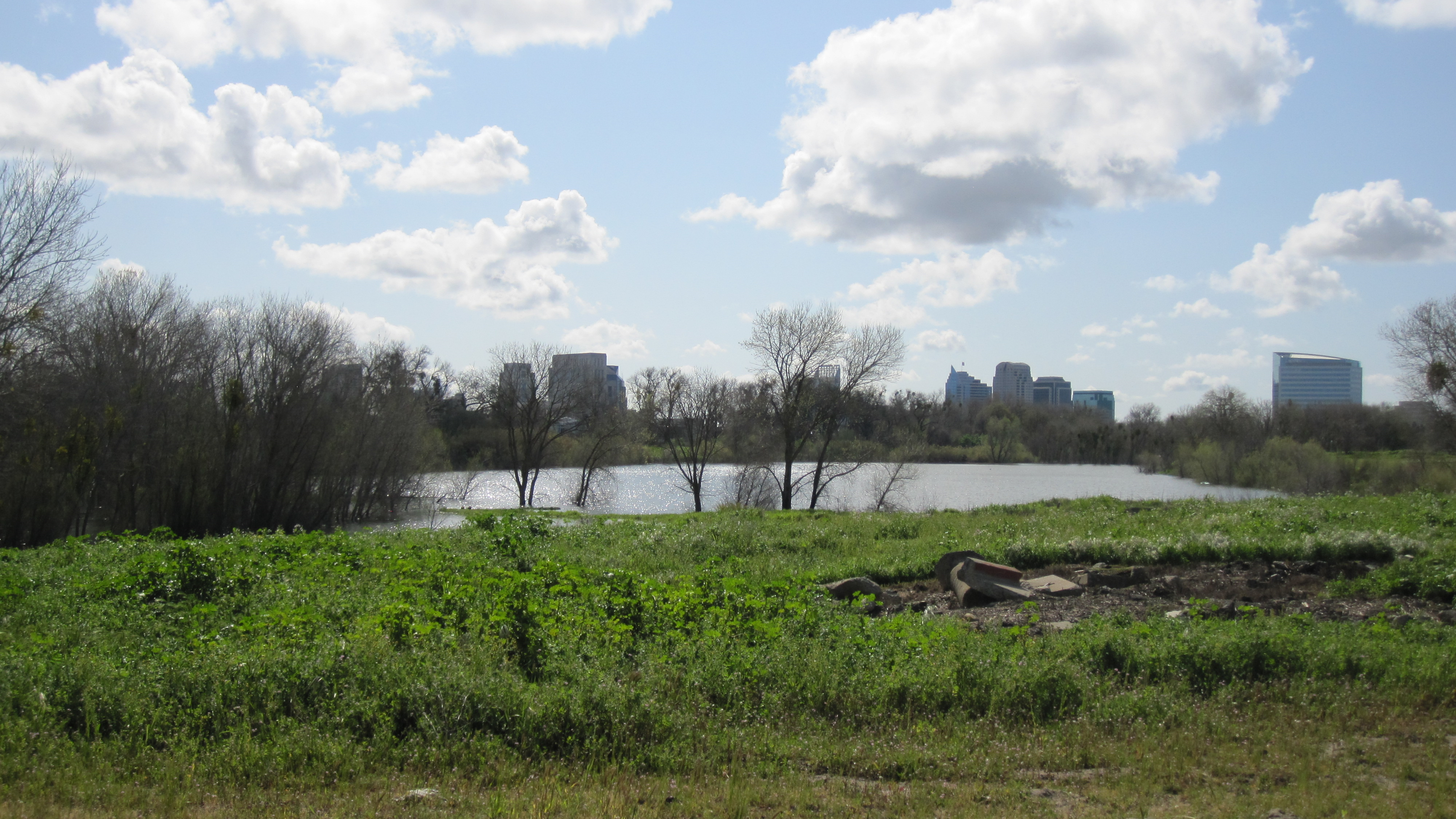 CIHC Area 1