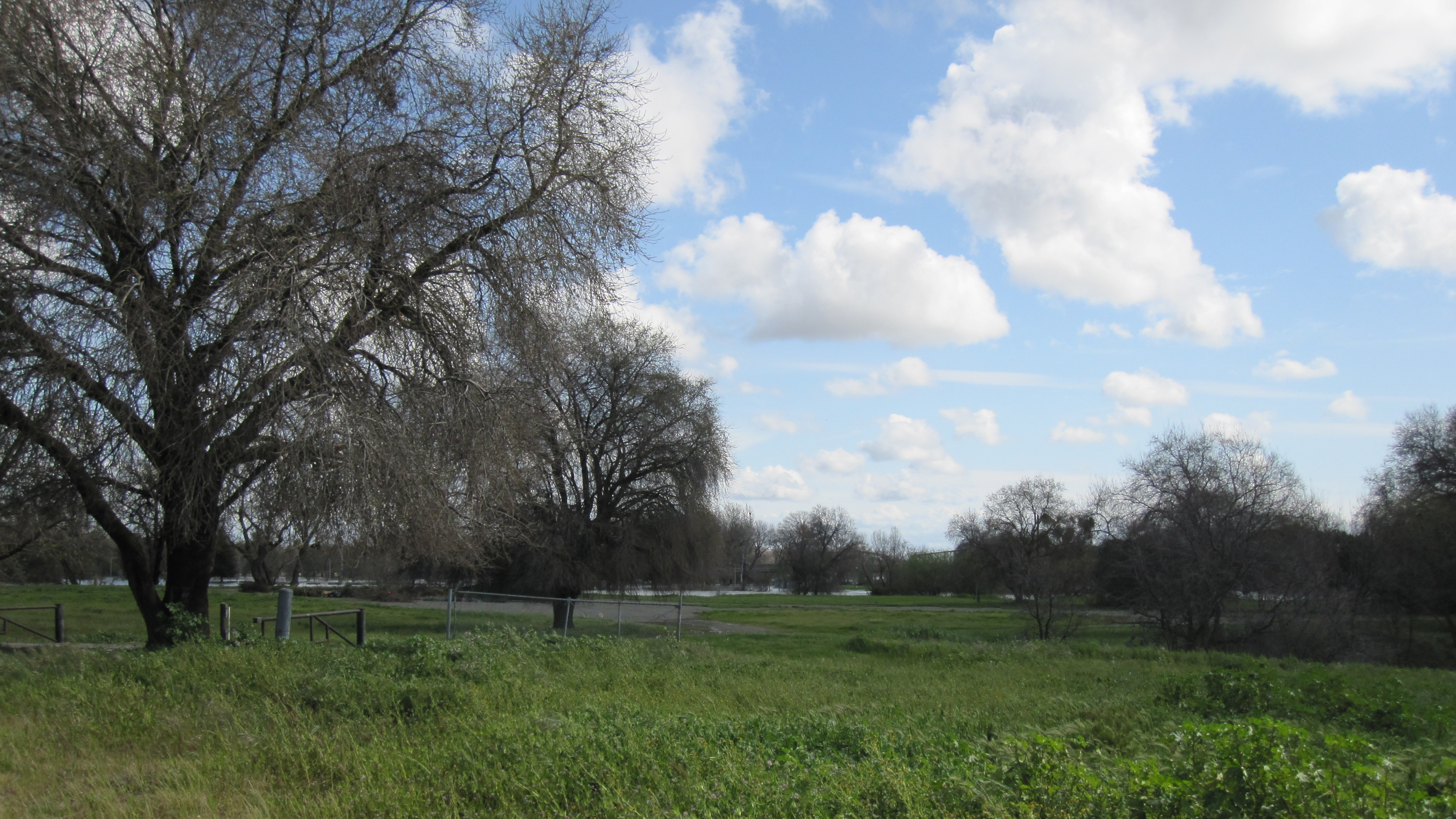 CIHC Area 1