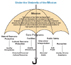 Under the Umbrella of the Mission