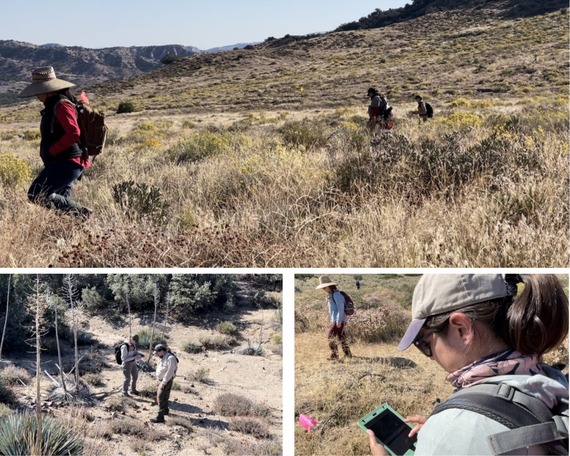 Hungry Valley cultural survey