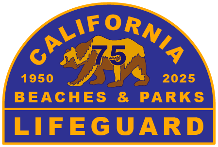 75th Anniversary Logo