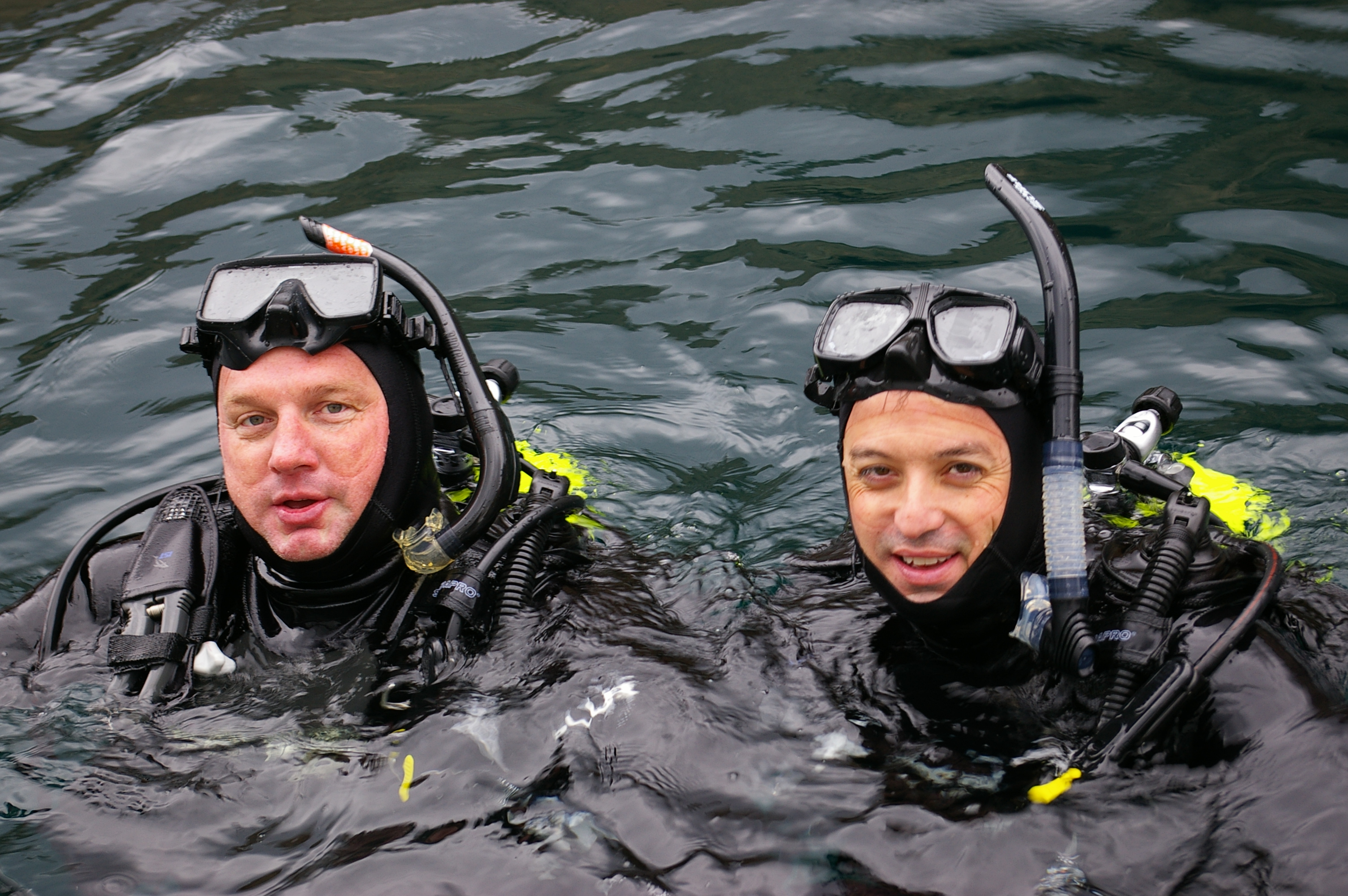 Dive Buddies