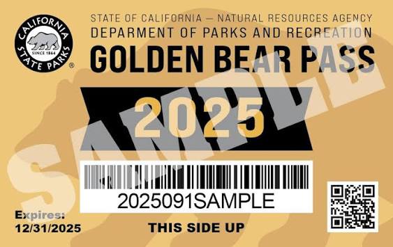 A Golden Bear Pass