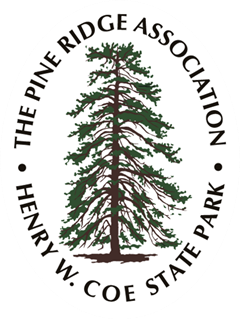 Pine Ridge Association