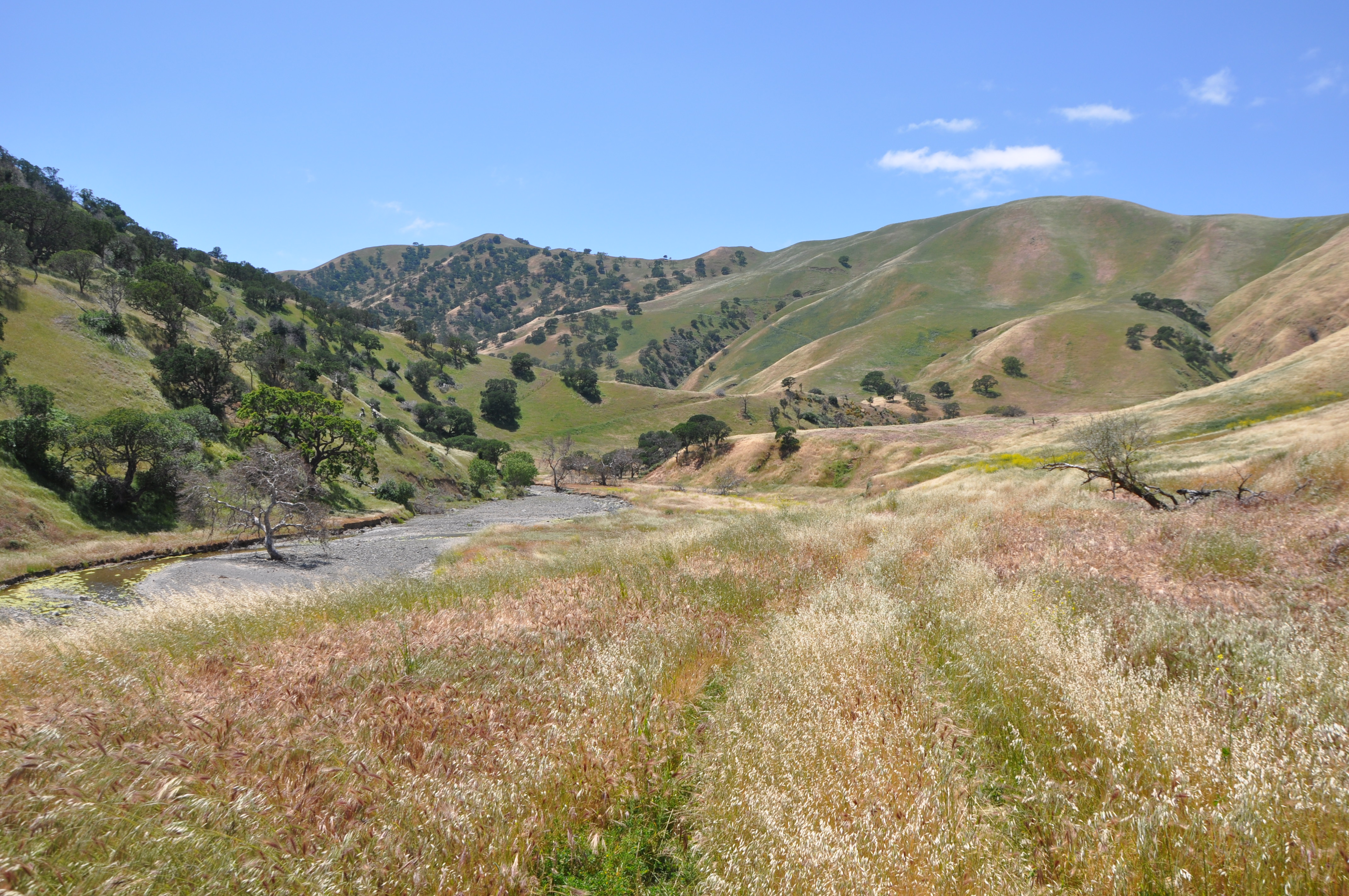 The Alameda-Tesla Property in spring