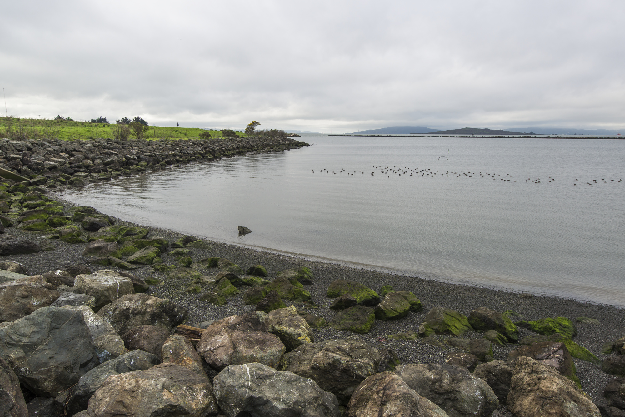 A view of the water at Albany A view of the water at Albany