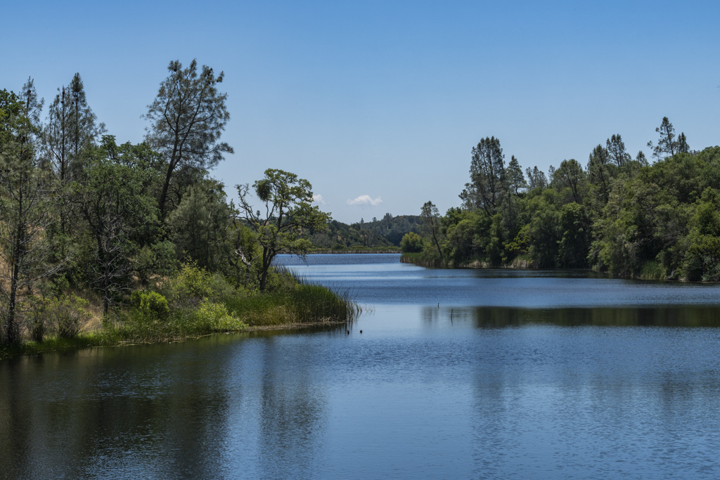 A lake at Henry Coe