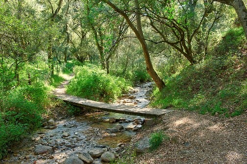 The Nature Area at Hollister Hills The Nature Area at Hollister Hills