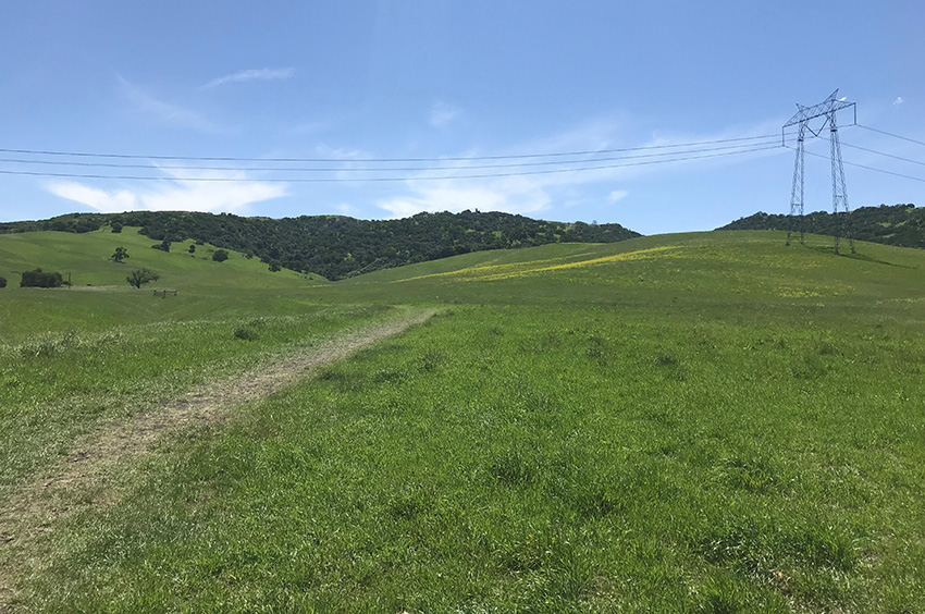 Hollister Hills' Mudstone Ranch