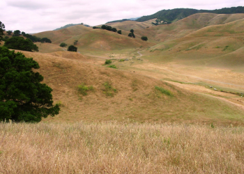 Pereira Ranch