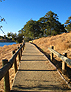 Trail