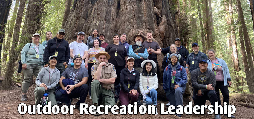 ORL Group banner