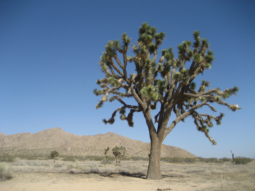 Saddleback Butte State Park