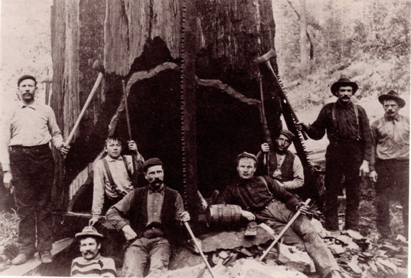 loggers