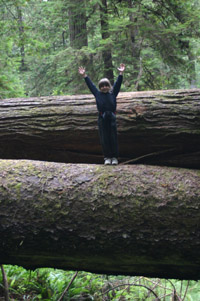 One the tree