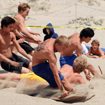 Competition Image