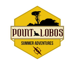 Summer Adventure Logo