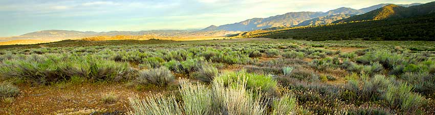 Hungry Valley SVRA Landscape