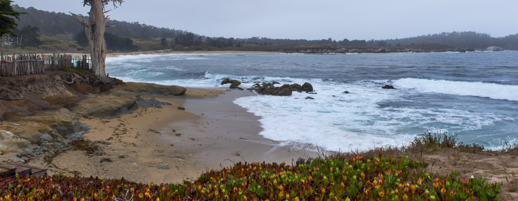 Beach Overlook