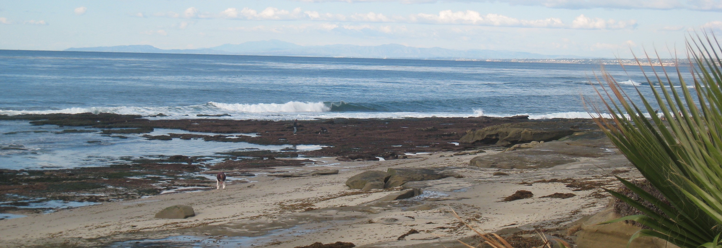 Beach Erosion