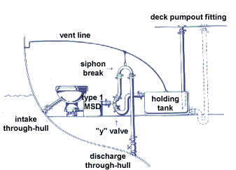 y valve