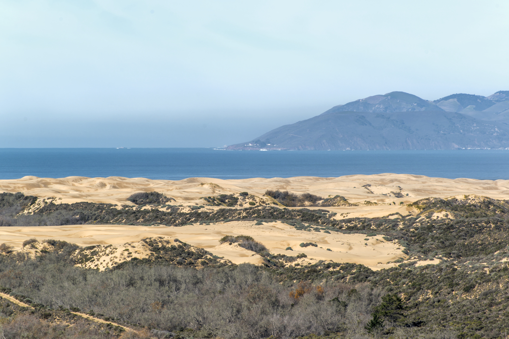 View of the bay