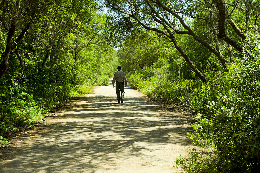 Walking on a Trail Walking on a Trail