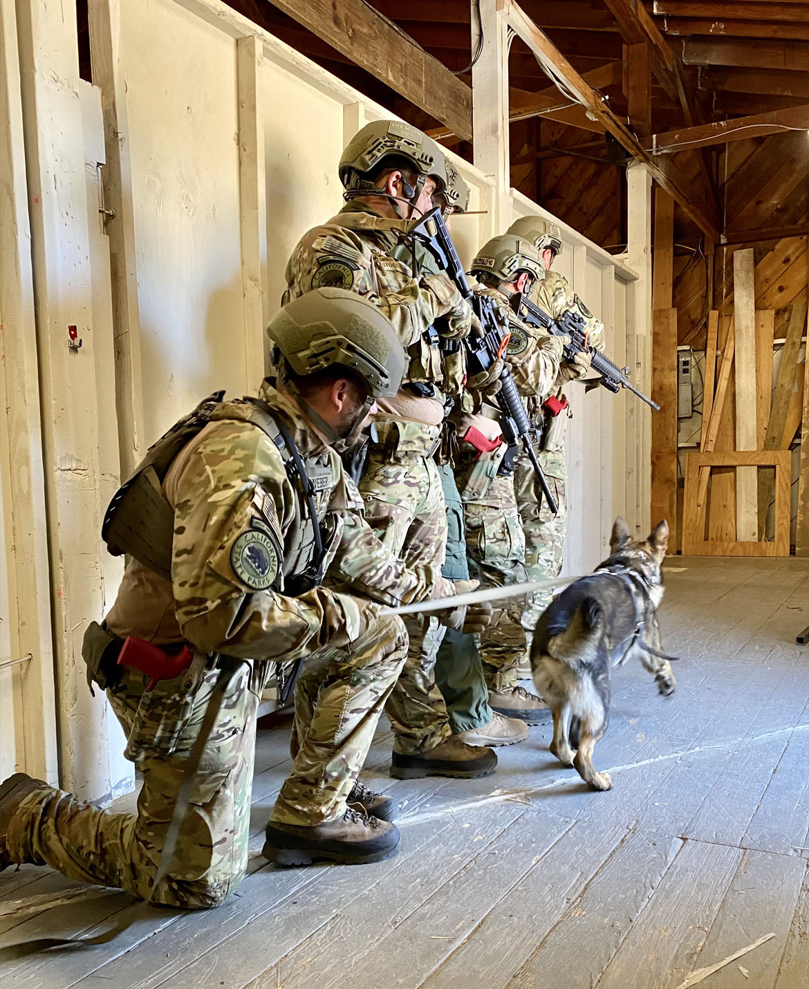 K-9 Special Enforcement Team training. K-9 Special Enforcement Team training.
