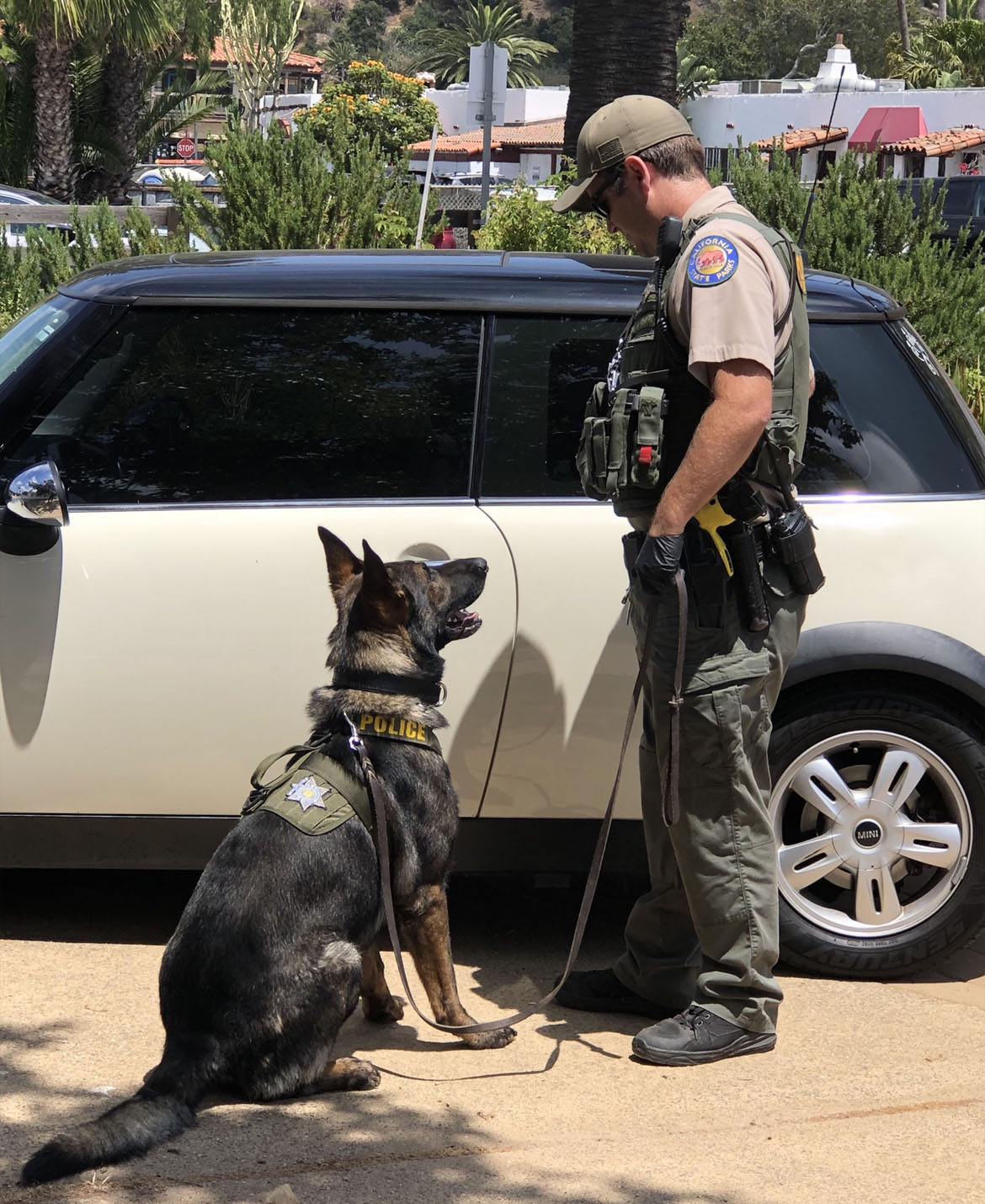 K-9 Narcotics Detection. K-9 Narcotics Detection.