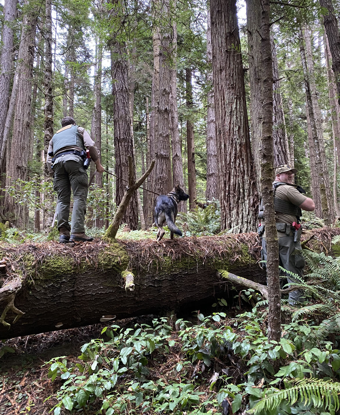 K-9 tracking. K-9 tracking.