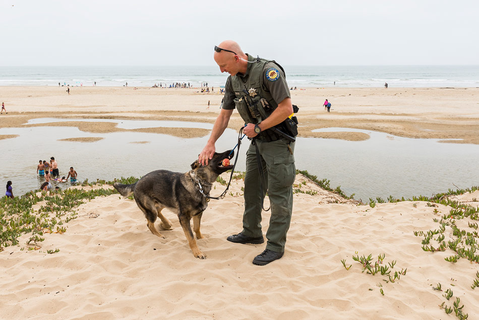 k-9 with Handler at Dunes