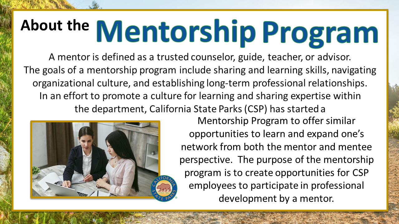 About the Mentorship Program
