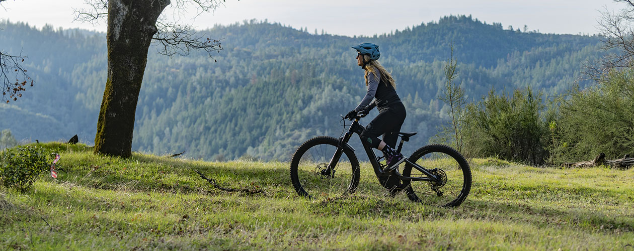 e-bike banner