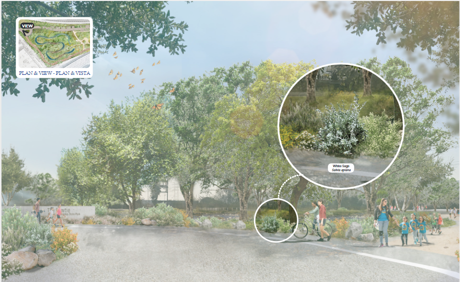 Wetland Render 2. Wetland Render 2.