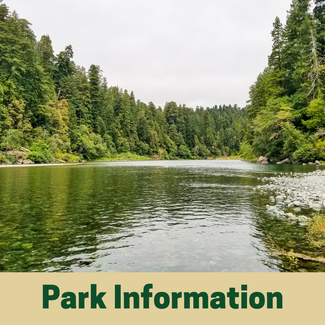 Park Information