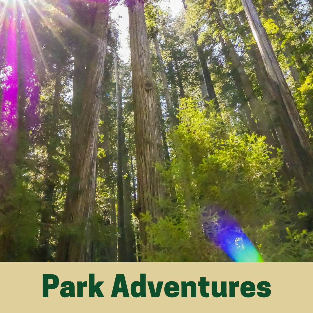 Park Adventures