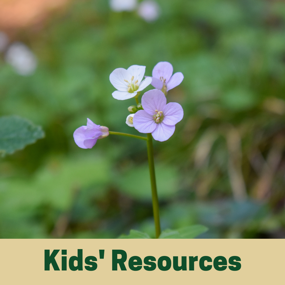 Kids' Resources