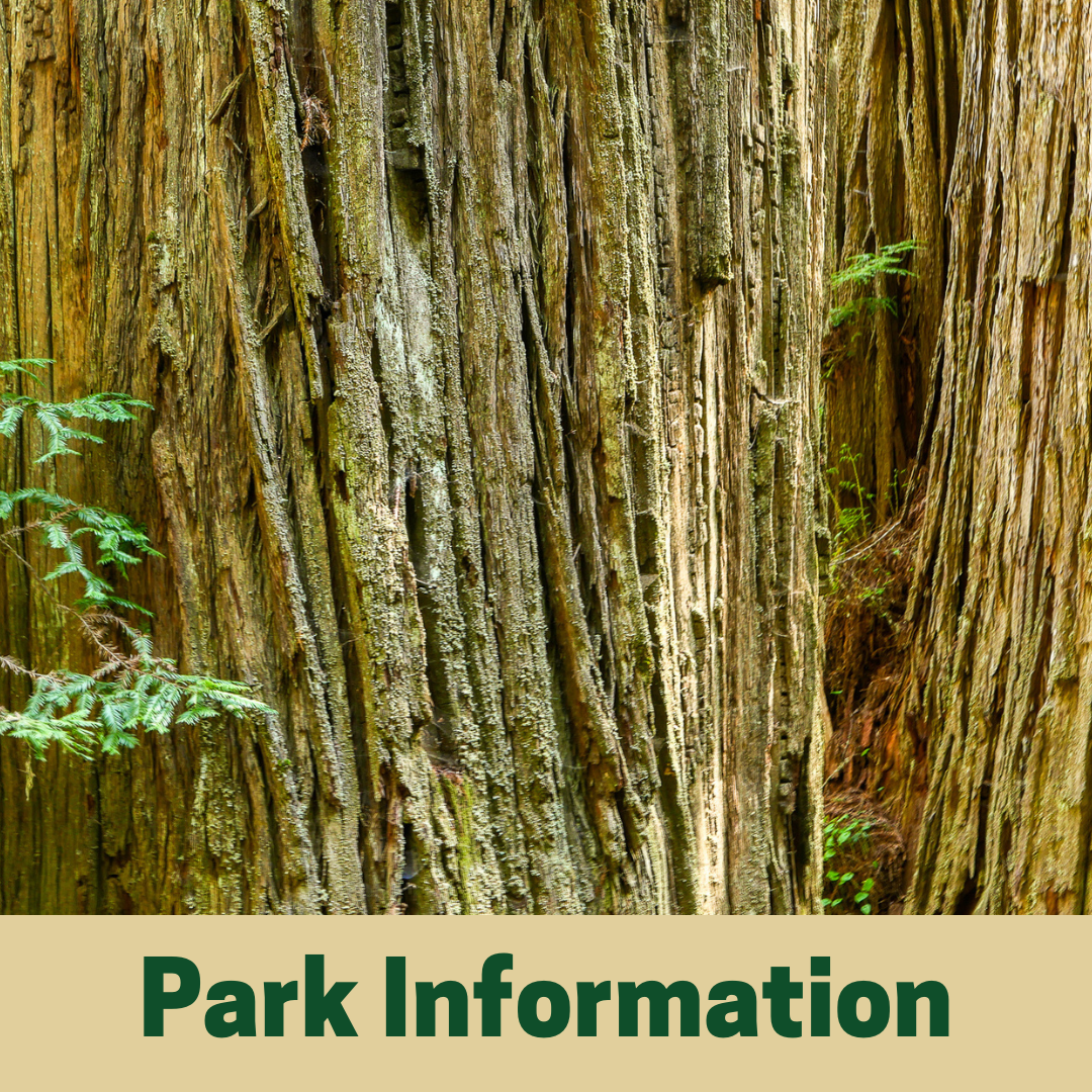 Park Information