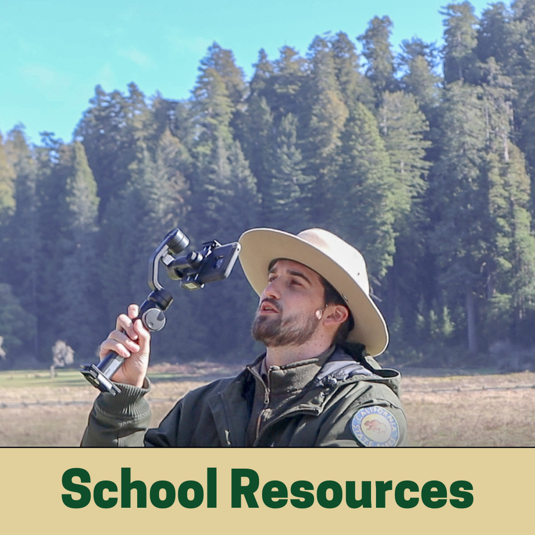 School Resources