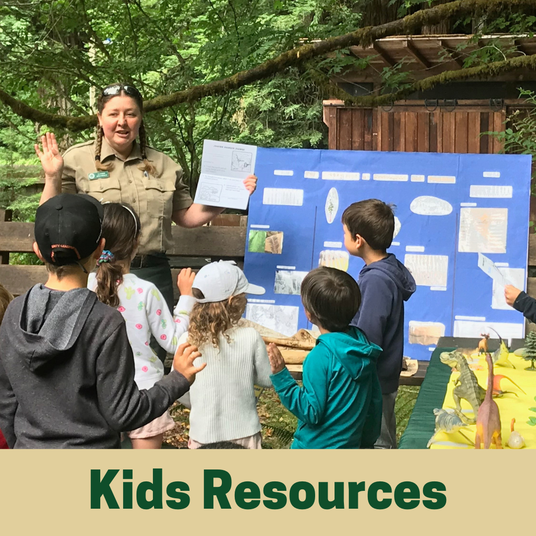 Kids Resources