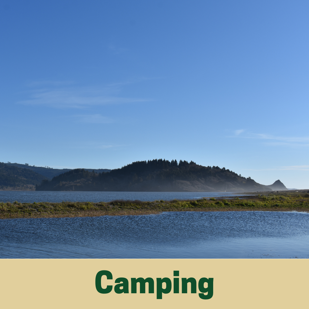 Camping