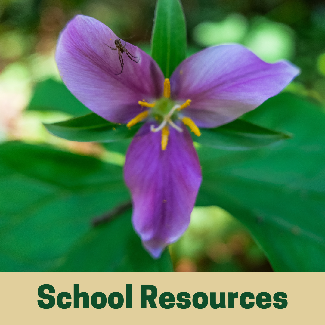 School Resources