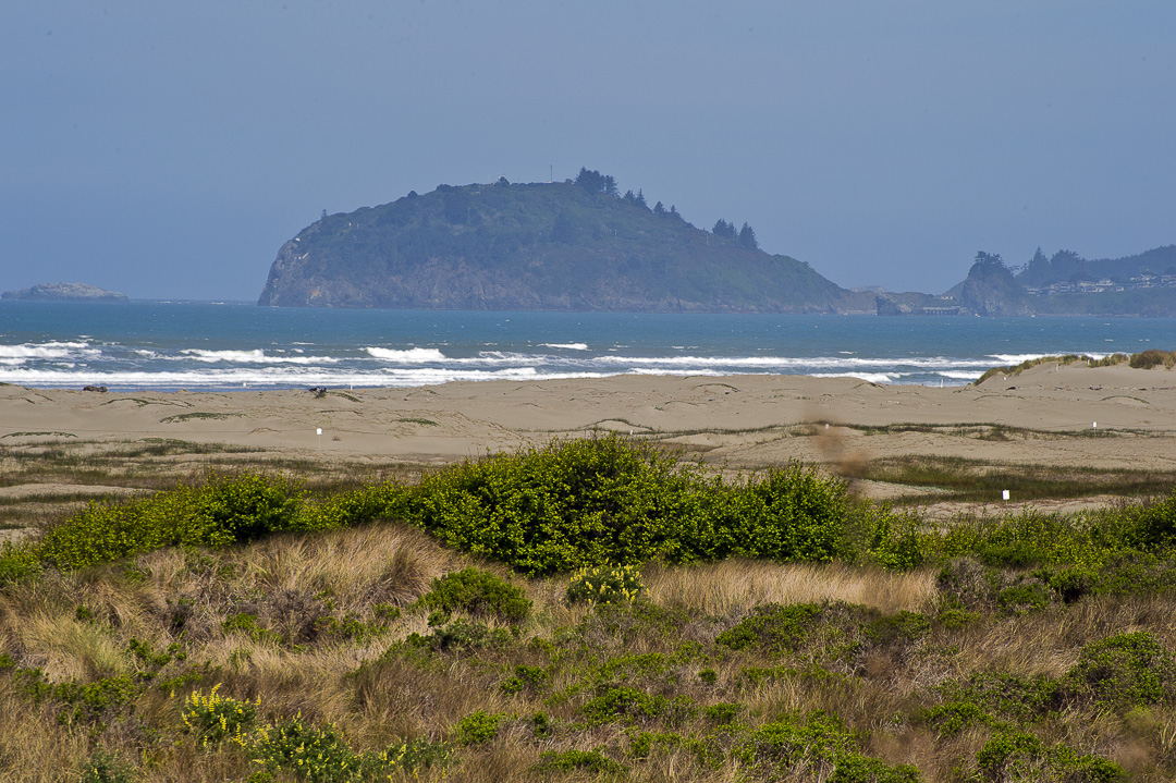 Beach image