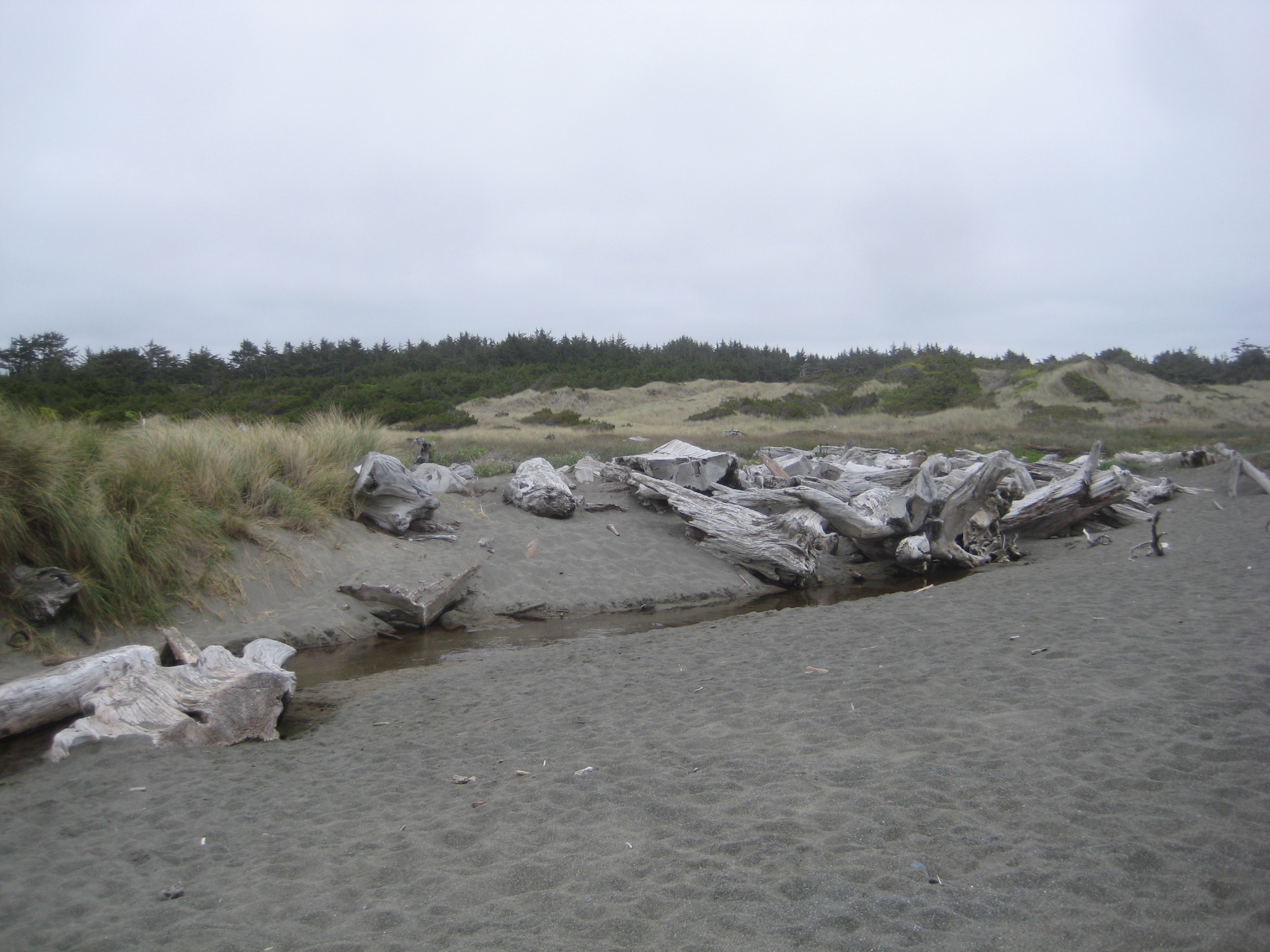 Beach Image