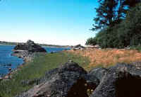 Photo:  View of the lagoon and surrounding area at Harry A. Merlo SRA