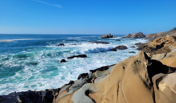 Coastal view along the Grace Rock trail
