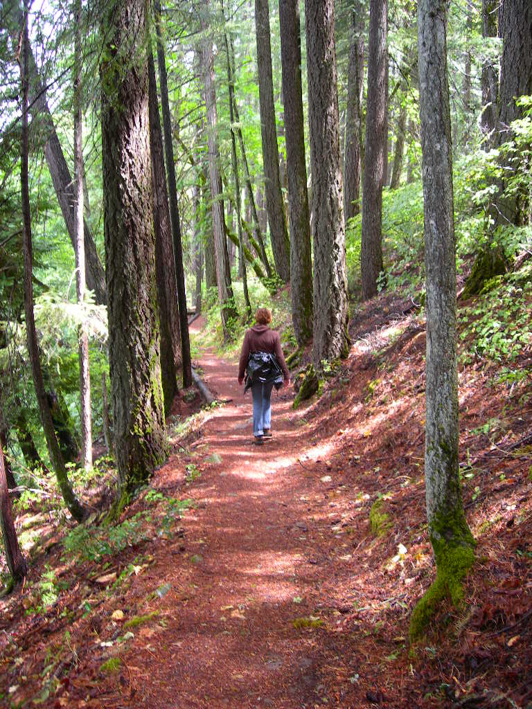 River Trail image
