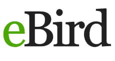 ebird logo