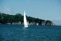 Sailboats off Angel Island